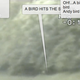 Illustration for article titled The Funniest Lap Of The Nurburgring Ever